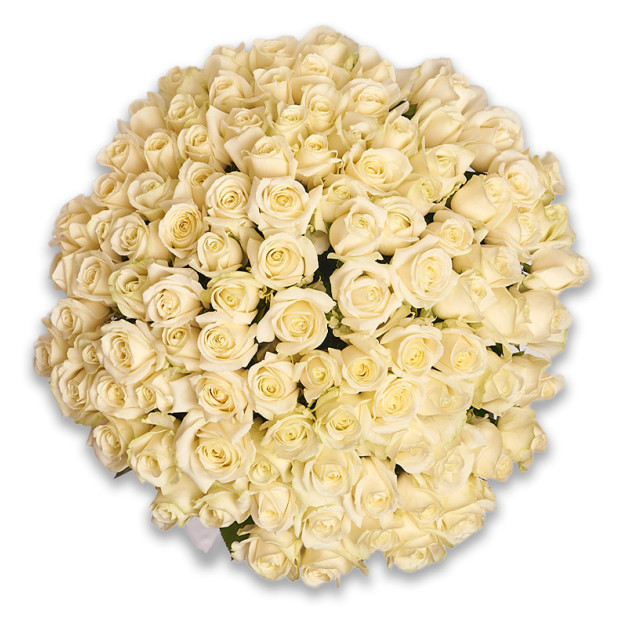Букет 101 Біла Троянда