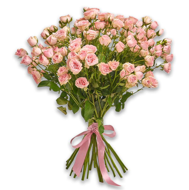 Bouquet of 25 Light Pink Roses Spray