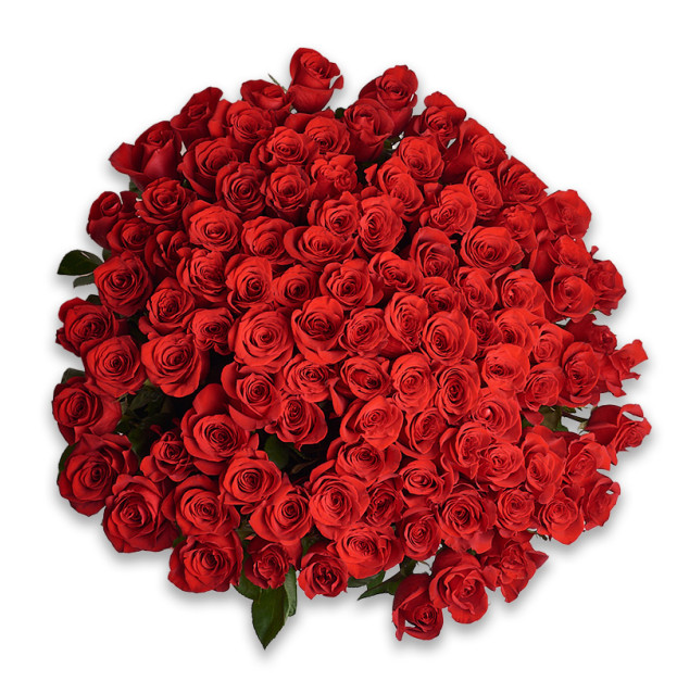 Bouquet 101 Red Rose 100 cm