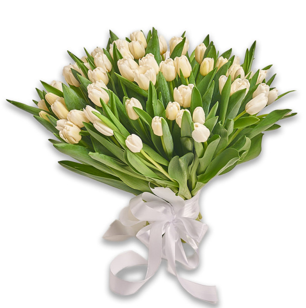 Букет 75 Білих тюльпанів