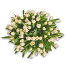 Букет 75 Білих тюльпанів