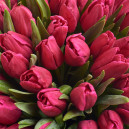 Букет 101 Малиновый тюльпан