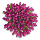 Букет 101 Фиолетовый тюльпан