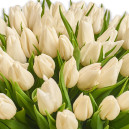 Букет 101 Білий тюльпан