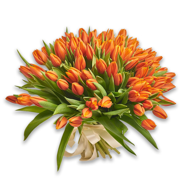 Bouquet 101 Orange Tulip