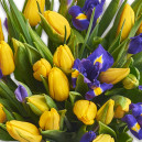 Букет Жовті Тюльпани та Іриси