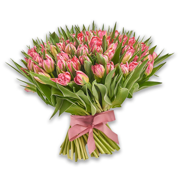 Букет 101 Світло-Рожевий піоновидний тюльпан