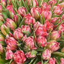 Букет 101 Светло-Розовый пионовидный тюльпан