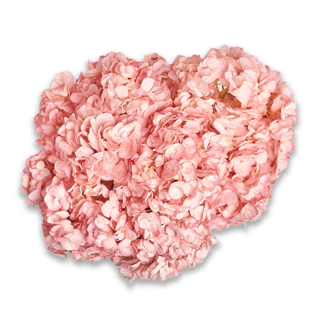 Букет 7 Рожевих Гортензій