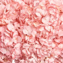 Букет 7 Рожевих Гортензій