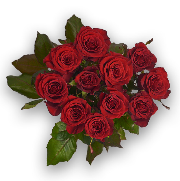 Bouquet of 11 Red Roses