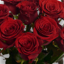 Bouquet of 11 Red Roses