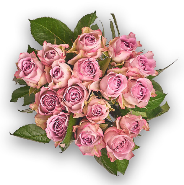 Букет 15 Троянд