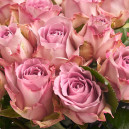 Букет 15 Троянд