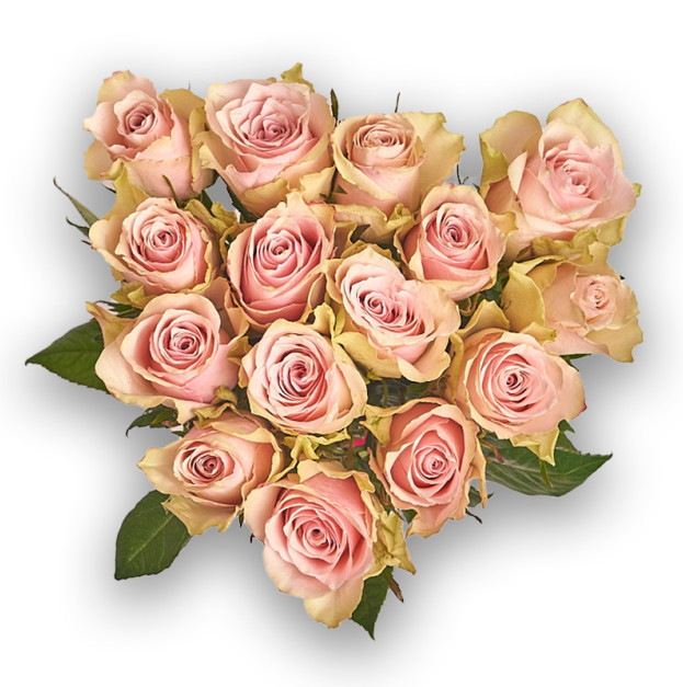 Букет 15 Троянд