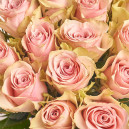 Букет 15 Троянд