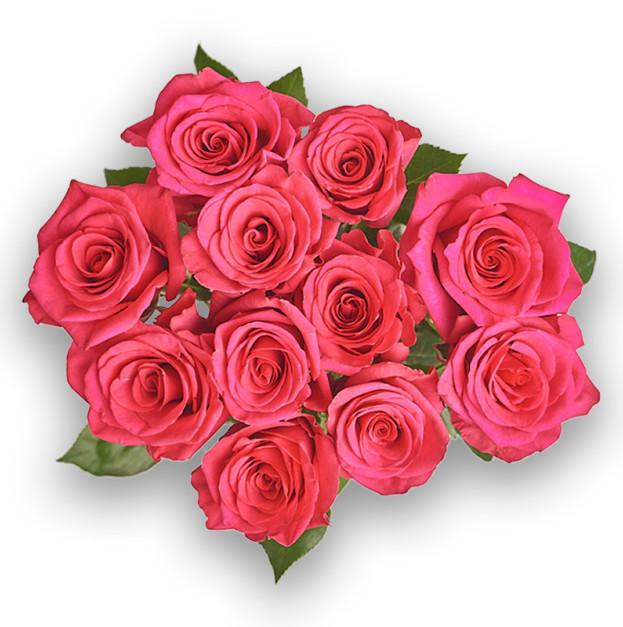 Букет 11 Малинових троянд