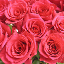 Букет 11 Малинових троянд