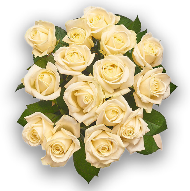 Букет 15 Білих троянд