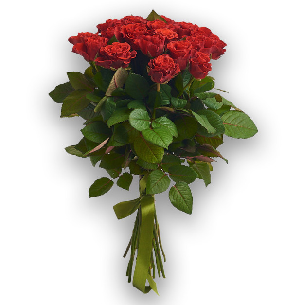 Bouquet of 19 Roses