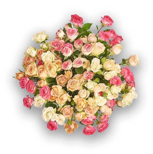 Букет 15 Троянд Спрей Мікс