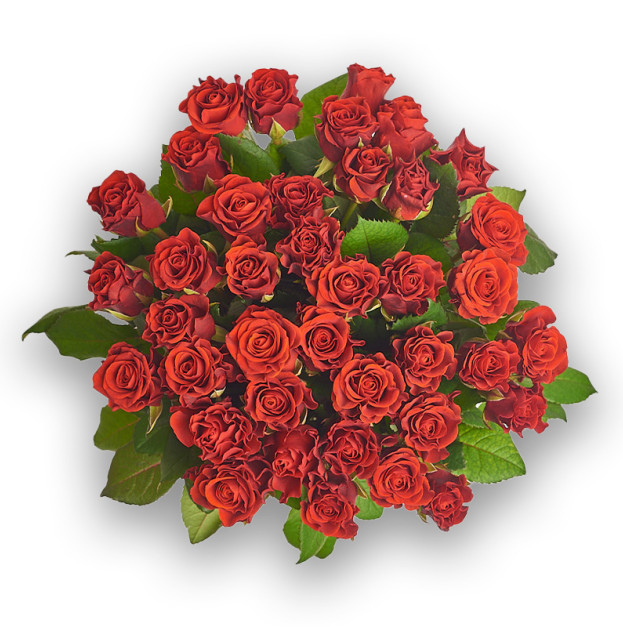 Bouquet of 39 Red Roses