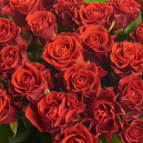 Bouquet of 39 Red Roses