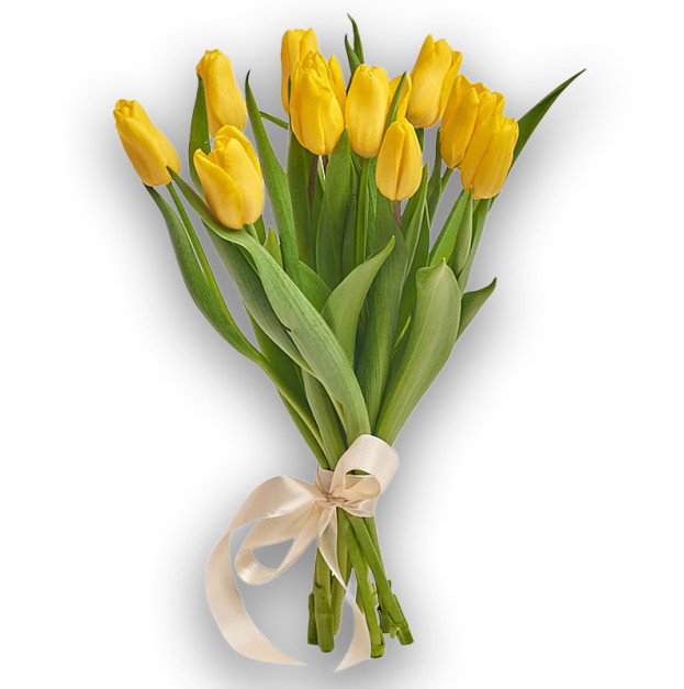 Bouquet of 11 Yellow Tulips