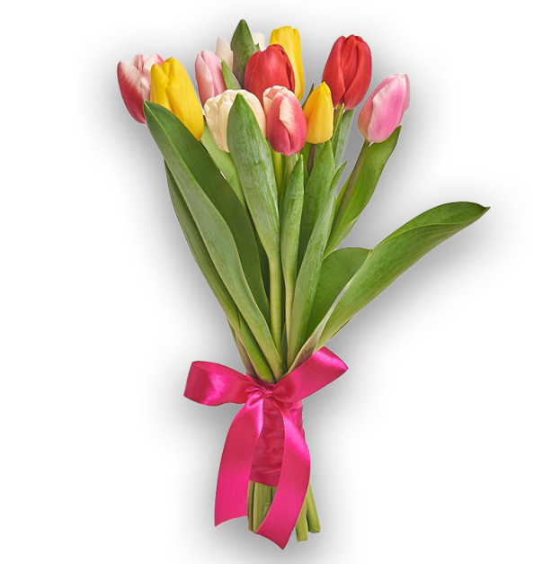 Bouquet of 11 Tulips mix