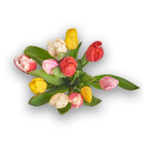 Bouquet of 11 Tulips mix