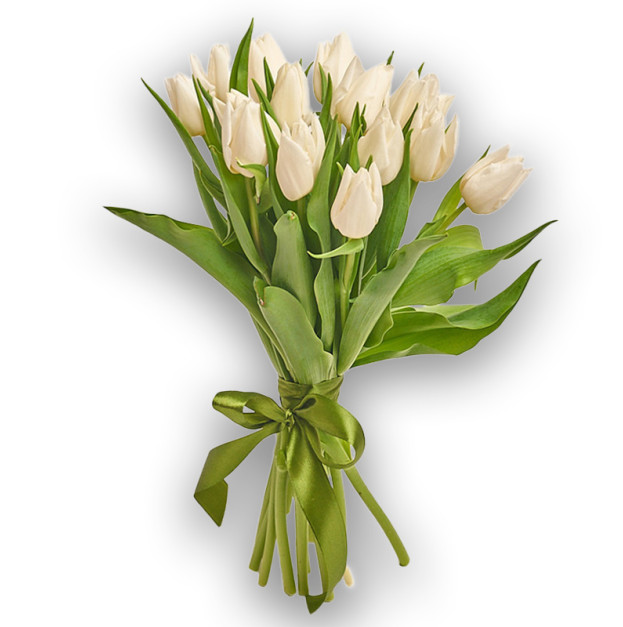 Bouquet of 15 White Tulips