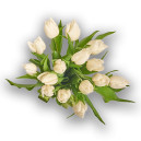 Bouquet of 15 White Tulips
