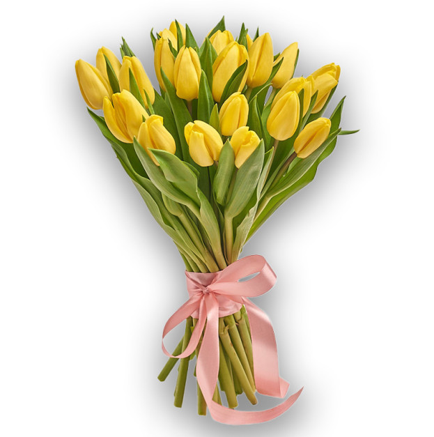 Bouquet of 25 Yellow Tulips