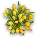 Bouquet of 25 Yellow Tulips