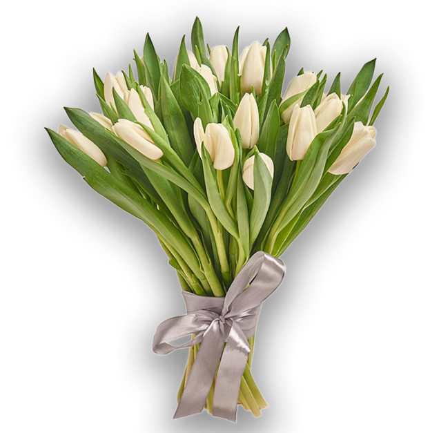 Bouquet of 25 White Tulips