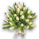 Bouquet of 25 White Tulips