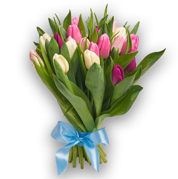 Bouquet of 25 Tulips mix