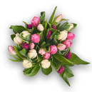 Bouquet of 25 Tulips mix
