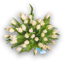 Bouquet of 35 White Tulips