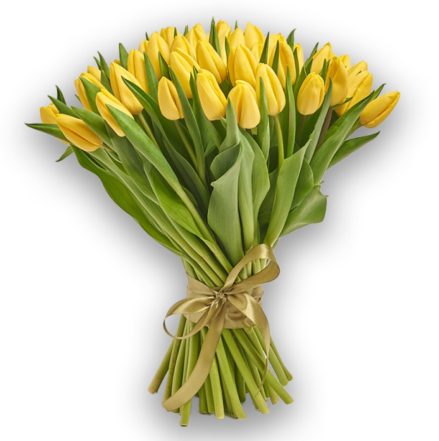 Букет 51 Жовтий тюльпан