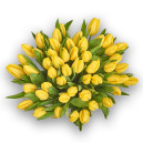 Букет 51 Жовтий тюльпан