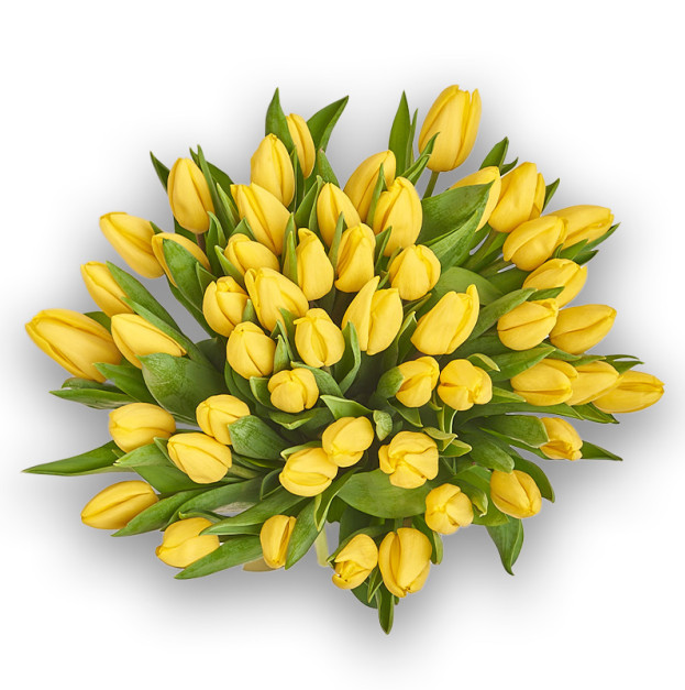 Букет 51 Жовтий тюльпан