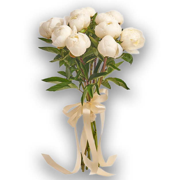 Букет 11 Білих Півоній