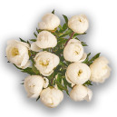 Букет 11 Білих Півоній