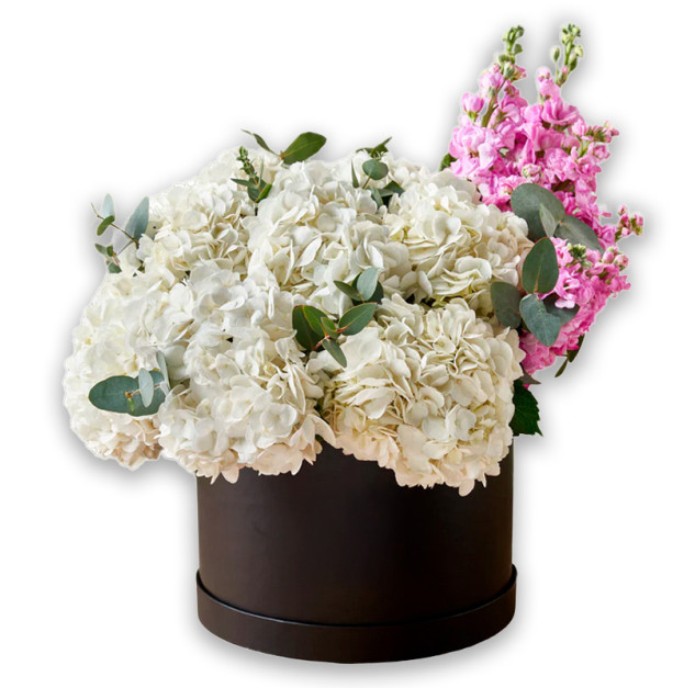 Квіти в коробці №15 "Гортензія та матіола"