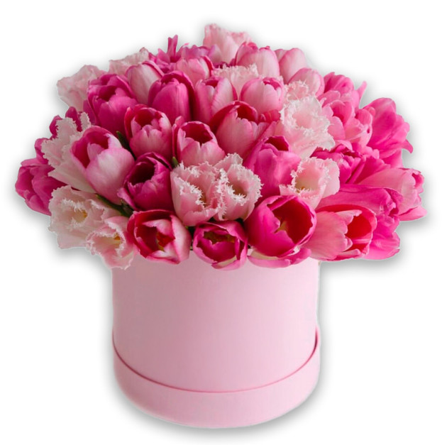 Квіти в коробці №31 "Мікс тюльпанів"