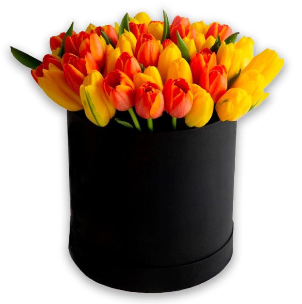 Квіти в коробці №33 "Мікс тюльпанів"