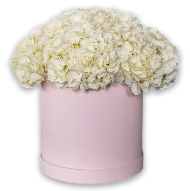 Квіти в коробці №35 "Ніжно-рожева гортензія"