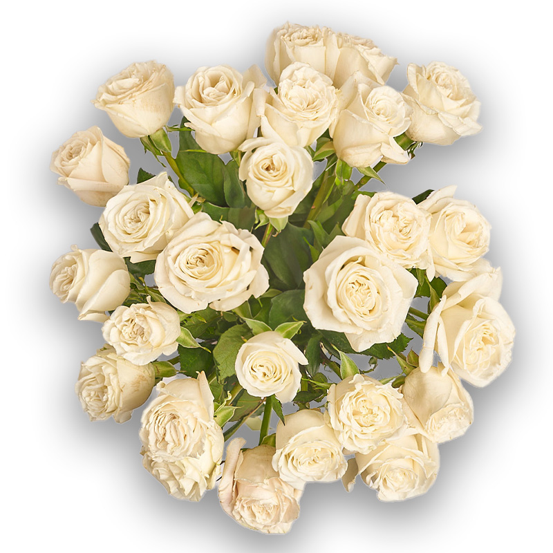 Buy Bouquet of 25 roses 75.65€ 10127 with delivery – online store ...
