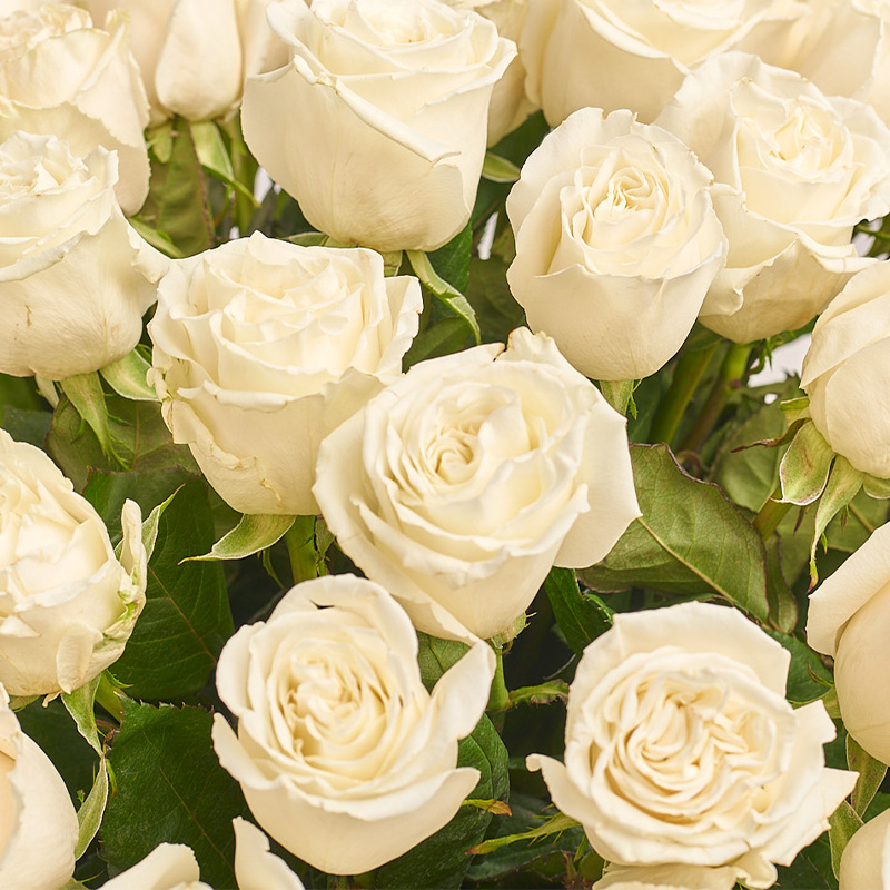 Buy Bouquet of 25 roses 75.65€ 10127 with delivery – online store ...